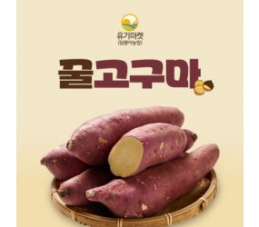 해남 황토 꿀고구마 3kg 5kg 10kg