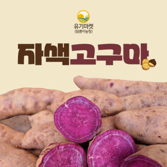해남 황토 자색고구마 혼합 2kg 3kg 5kg 10kg
