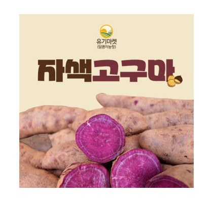 해남 황토 자색고구마 혼합 2kg 3kg 5kg 10kg